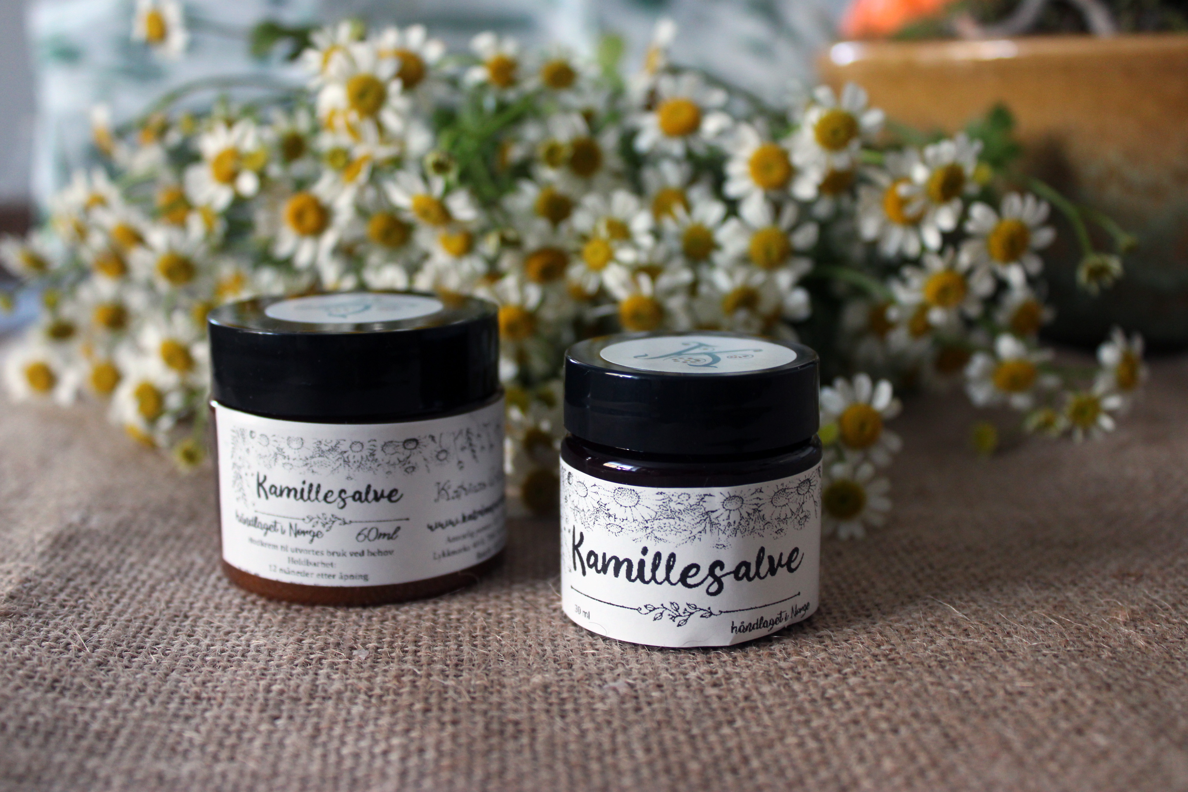 de Beste salvene mot tørre hender – hva fungerer egentlig?