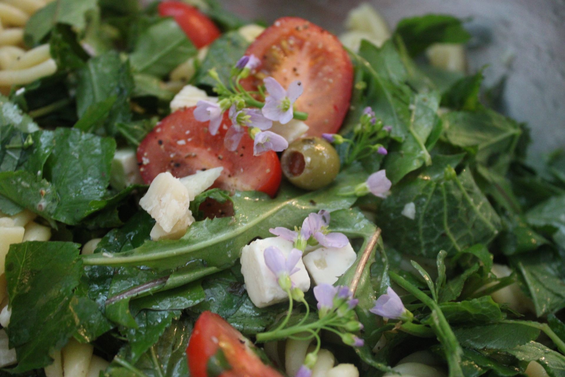 Gratissalat laget på ugress