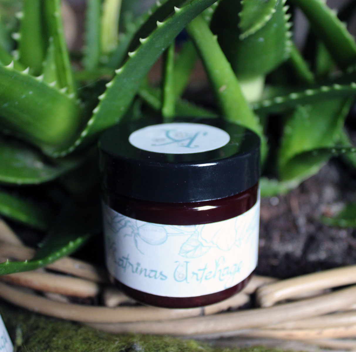 Aloe Vera salve med avokadoolje og bivoks
