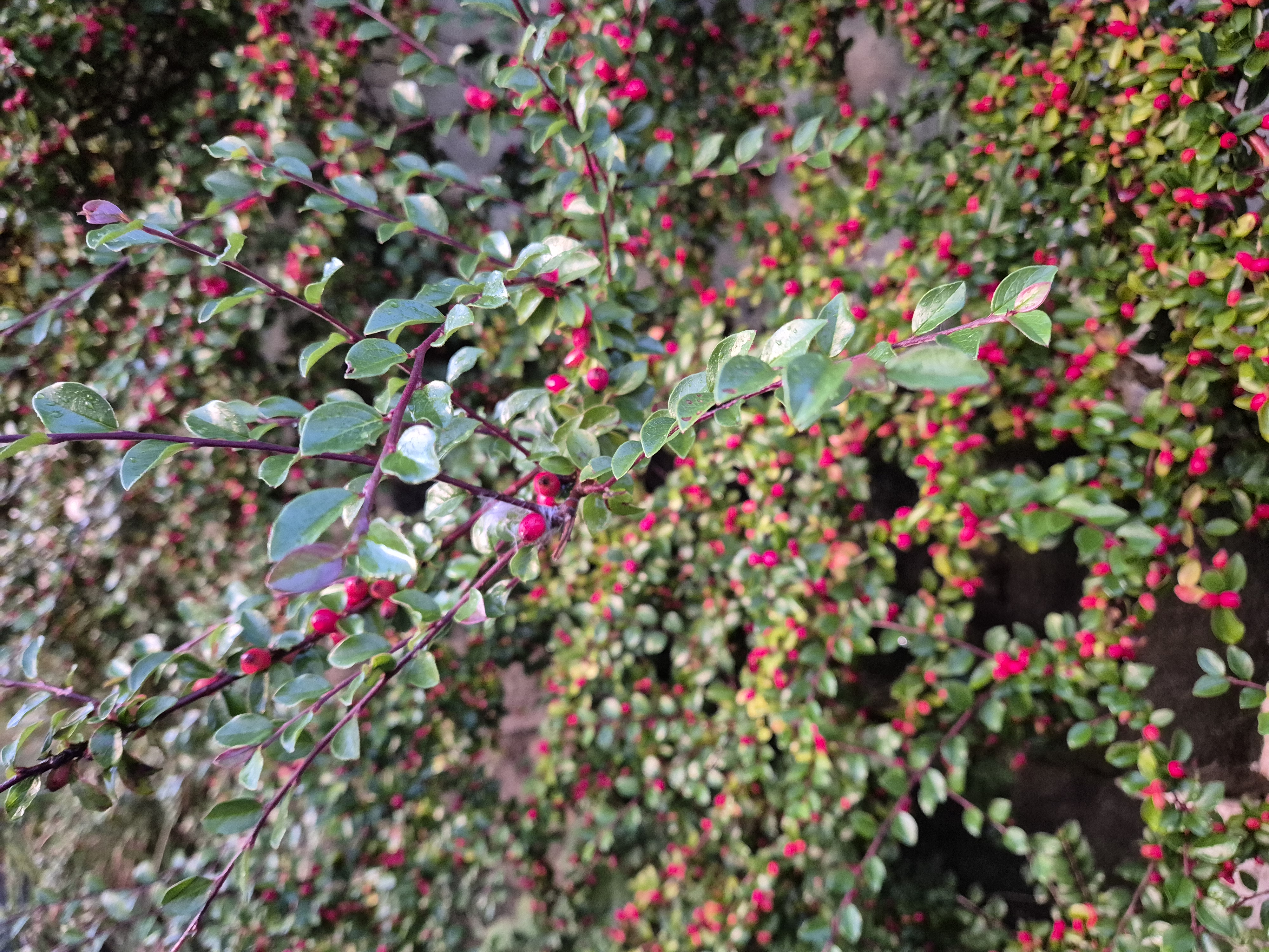 Forfatterferie og ny bok